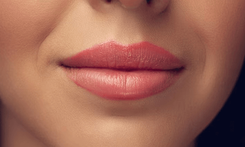 Micro Labios