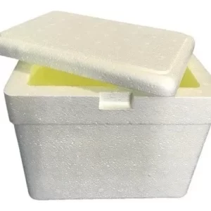 Caixa Térmica Isopor Grande 35litros Sorvete Refrigerante