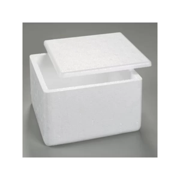 Caixa Isopor 250g Pequena P/sorvete Vacina Medicamento C/5-10 - Imagem 2