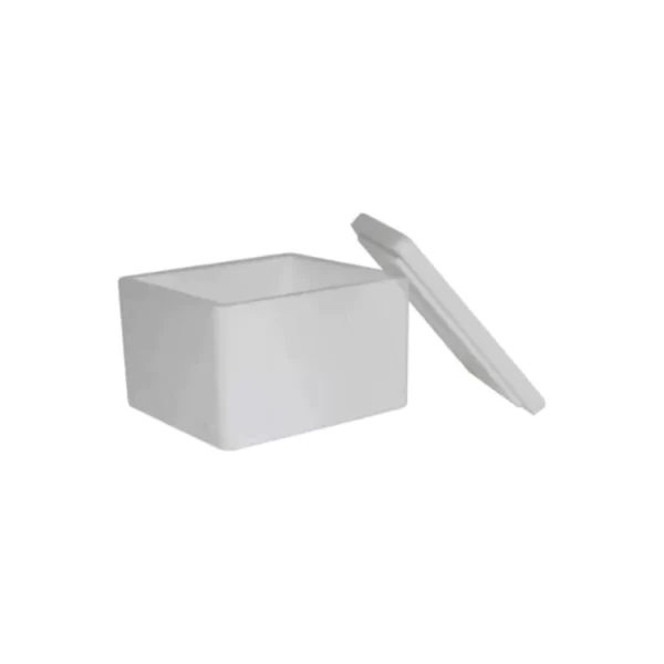 Caixa Isopor 250g Pequena P/sorvete Vacina Medicamento C/5-10 - Imagem 6