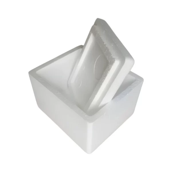Caixa Isopor 250g Pequena P/sorvete Vacina Medicamento C/5-10 - Imagem 3
